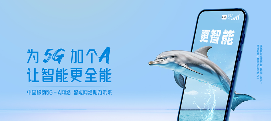 中国移动桃山区移动宽带